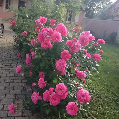 Rose Garden Studio Giverny Extérieur photo