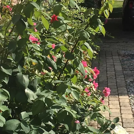 Rose Garden Studio Giverny Extérieur photo