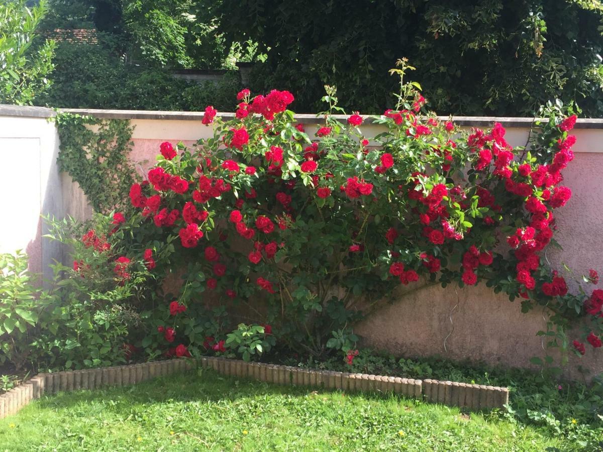 Apartment Rose Garden *