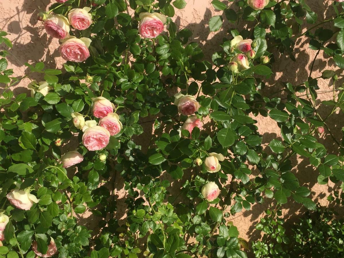 Rose Garden Apartment Giverny